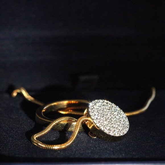 Swarovski Crystal Pavé Lariat - Picture 2 of 5